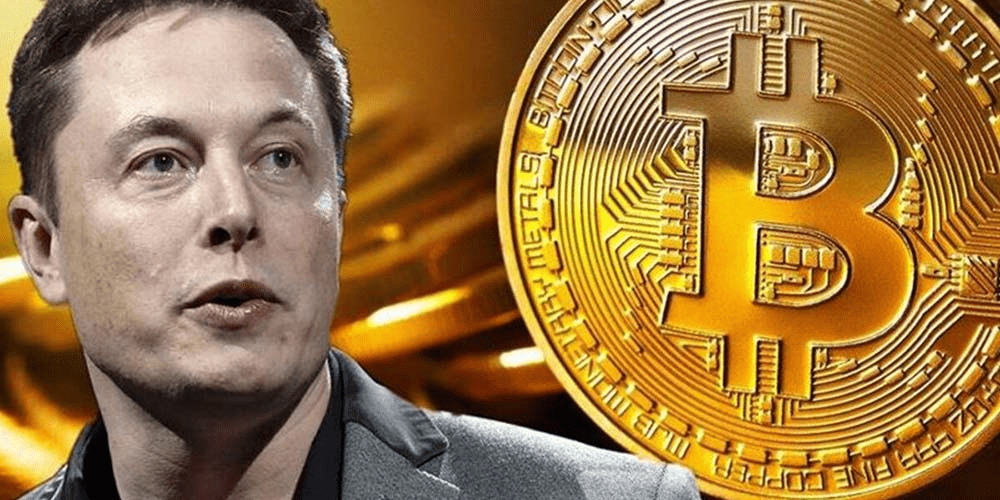  Bitcoin, other crypto spike after Elon Musk’s tweet on resuming Bitcoin transactions