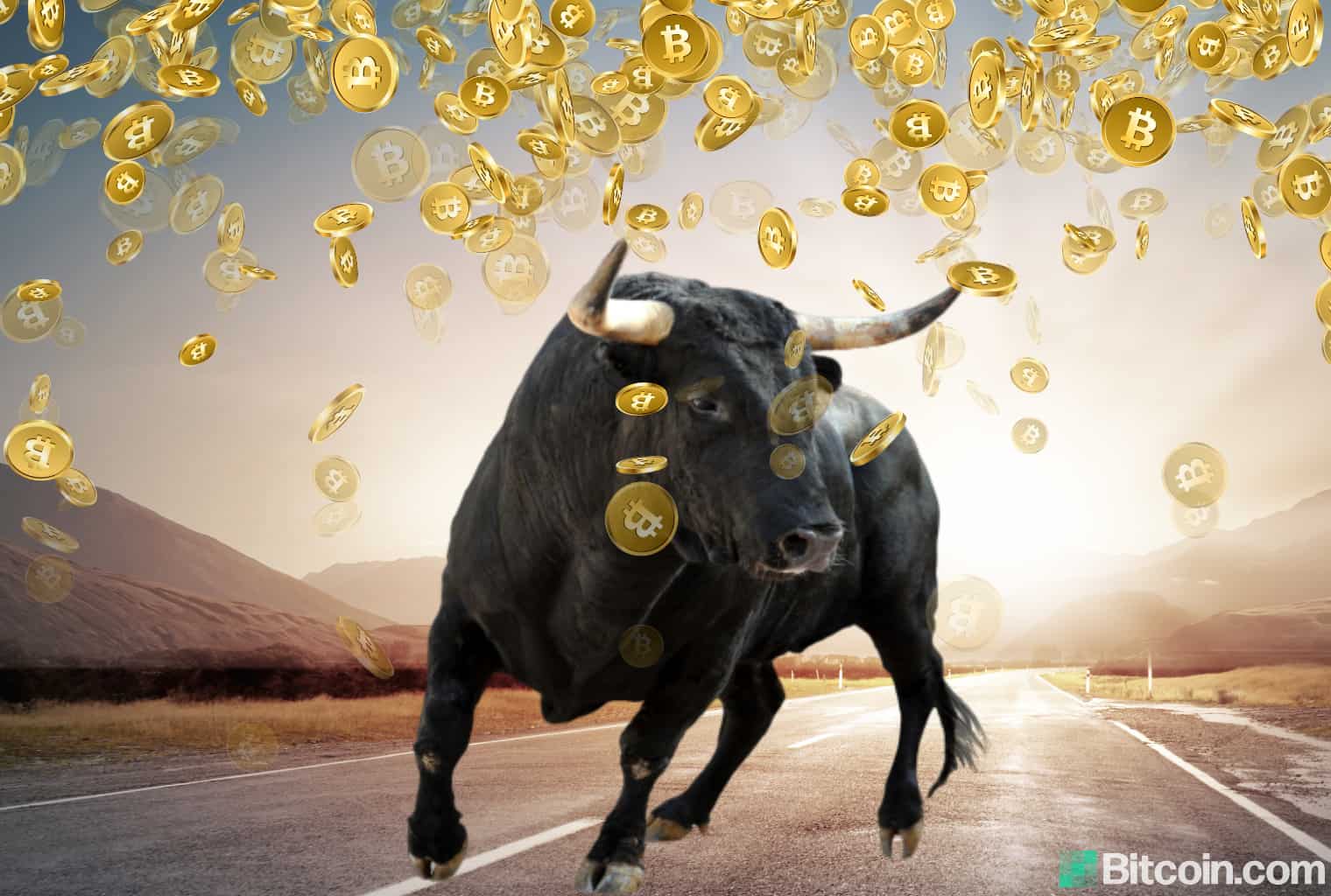 bulls on crypto