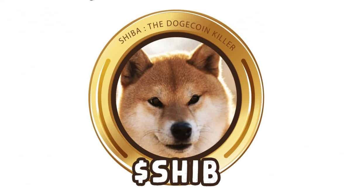 One shiba inu coin price in india