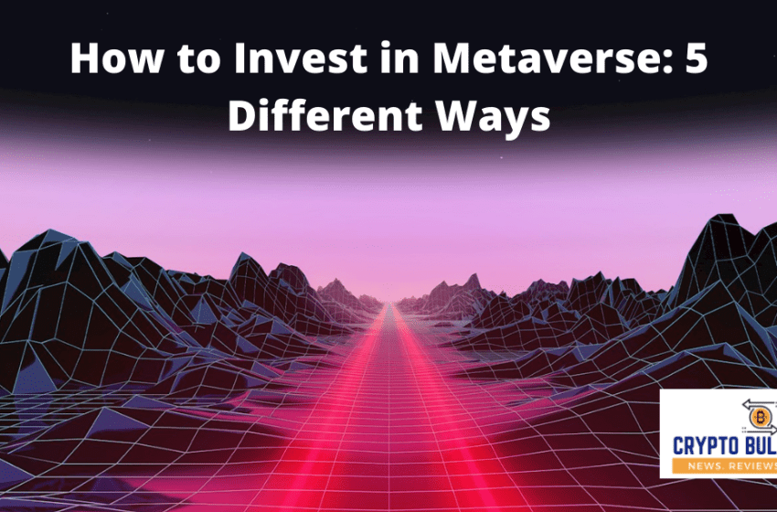  How to Invest in Metaverse: 5 Different Ways