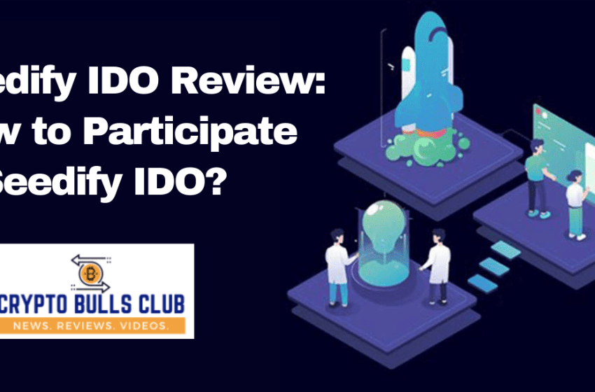  Seedify IDO Review: How to Participate in Seedify IDO?