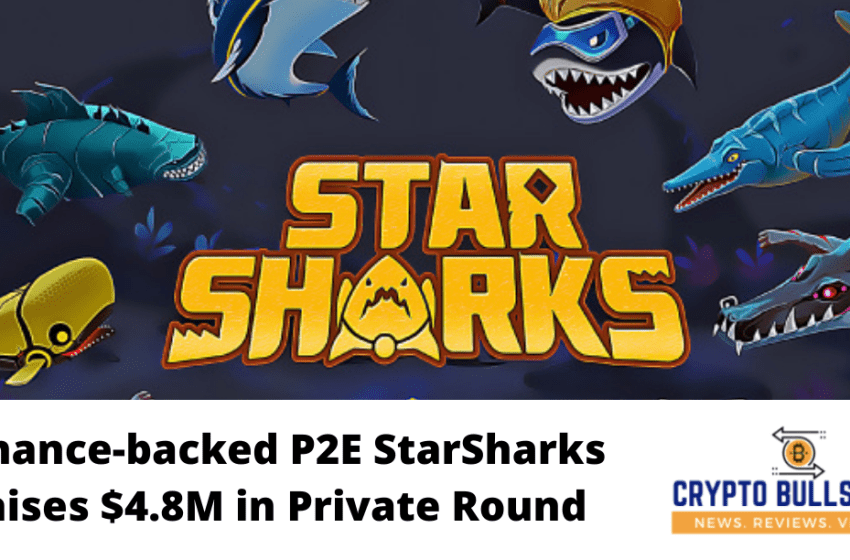  StarSharks P2E Backed by Binance Labs raises $4.8M in Private Round
