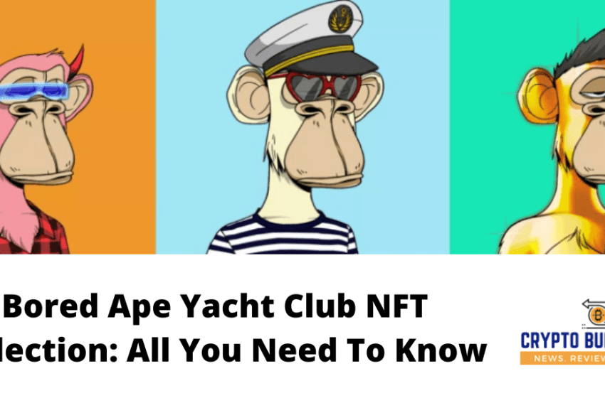  Bored Ape Yacht Club NFT Collection: All You Need To Know