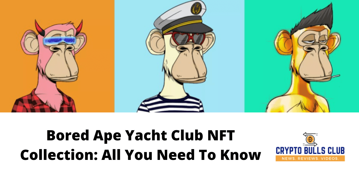 Bored Ape Yacht Club NFT Collection