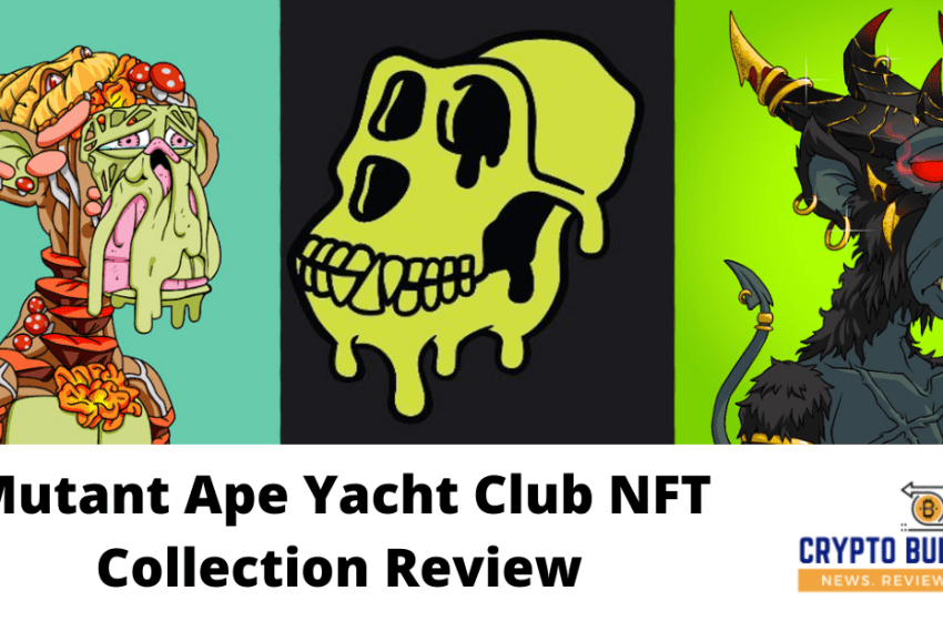  Mutant Ape Yacht Club NFT Collection: All You Need to Know