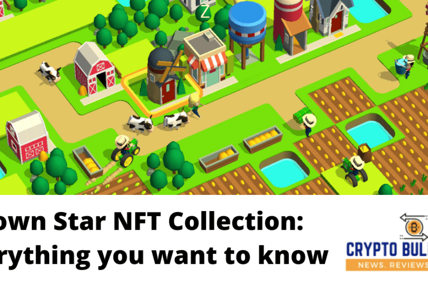  Town Star NFT Collection: Everything you want to know