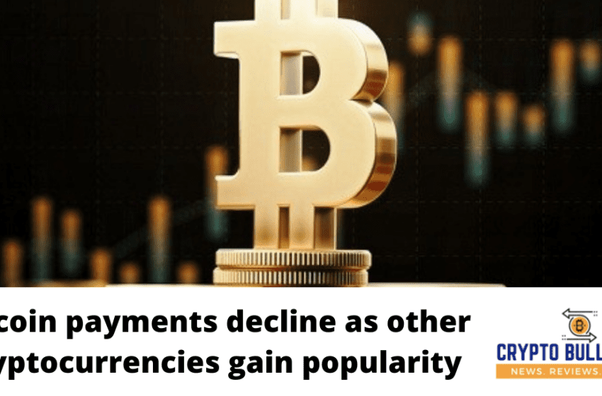  Bitcoin payments decline as other cryptocurrencies gain popularity