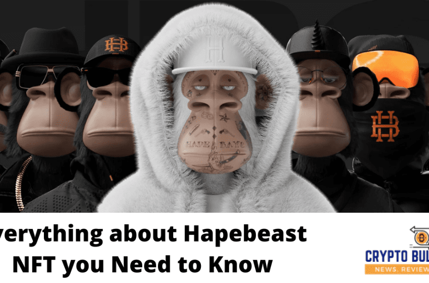  Hapebeast NFT Collection Review: 3D Fashion NFTs Not to Be Missed 2022