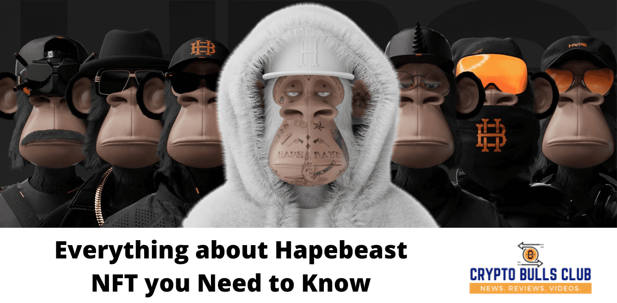 Everything about Hapebeast NFT you Need to Know