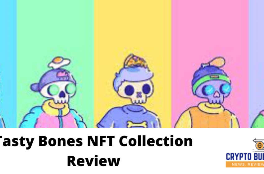  Tasty Bones NFT Collection Review