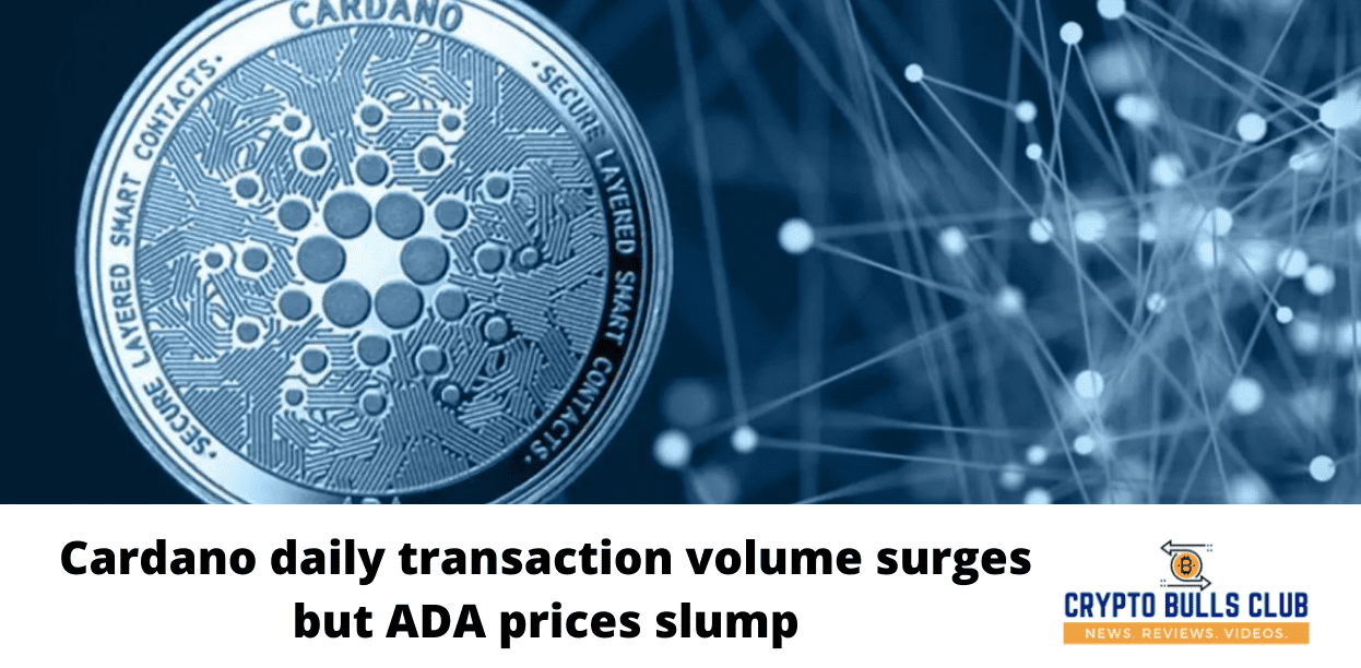 Cardano daily transaction volume surges but ADA prices slump