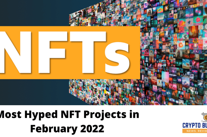  Most Hyped NFT Projects in February 2022