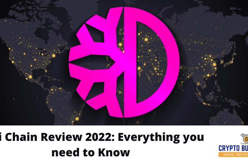  DeFi Chain Review 2022: Everything you need to Know