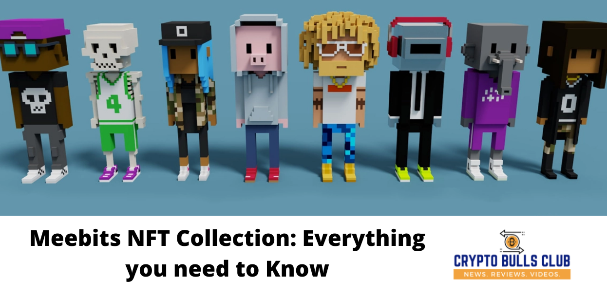 Meebits NFT Collection: Everything you need to Know
