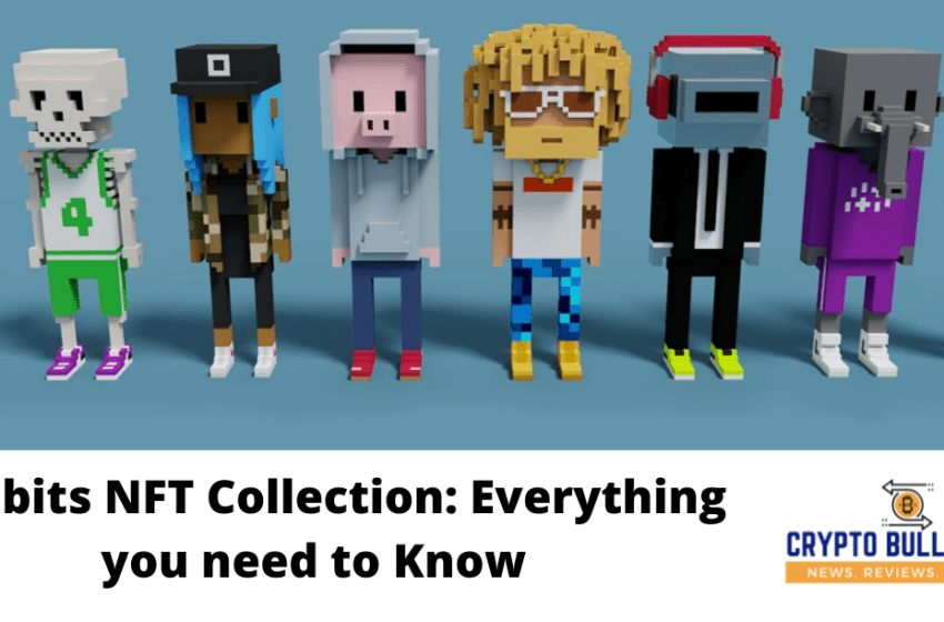  Meebits NFT Collection: Everything you need to Know