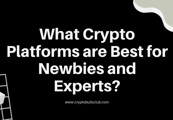  What Crypto Platforms are Best for Newbies and Experts?