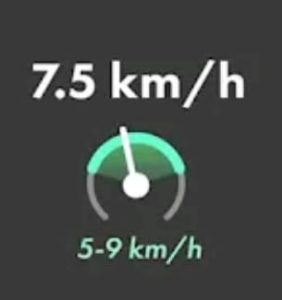 Your current speed and the ideal speed.