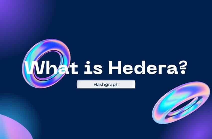  What is Hedera? Everything You Wish To Know about $HBAR