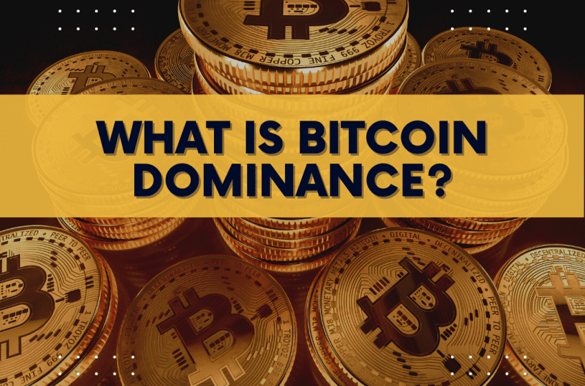  What is Bitcoin Dominance?
