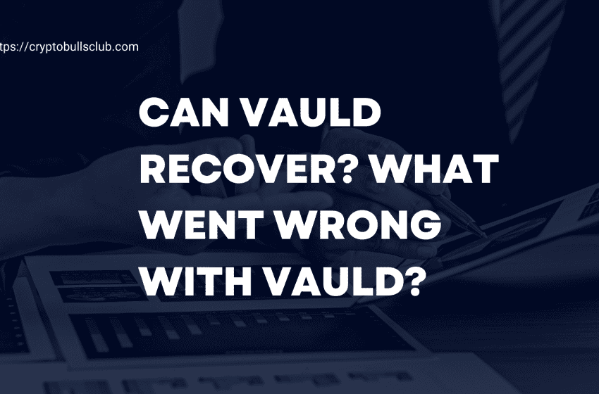  Can Vauld Recover? What went wrong with Vauld?