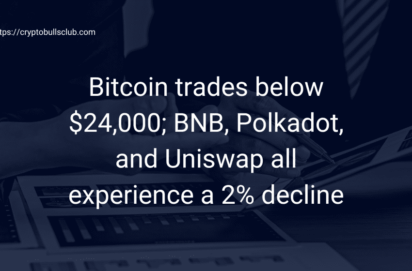  Bitcoin trades below $24,000; BNB, Polkadot, and Uniswap all experience a 2% decline
