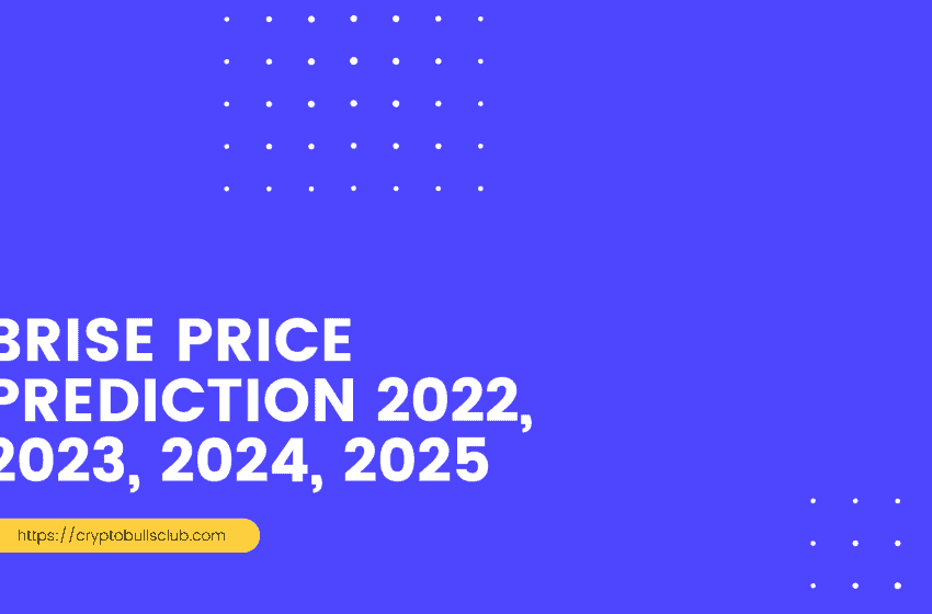  (BITGERT) BRISE PRICE PREDICTION 2023, 2024, 2025 to 2030: Should you buy now?