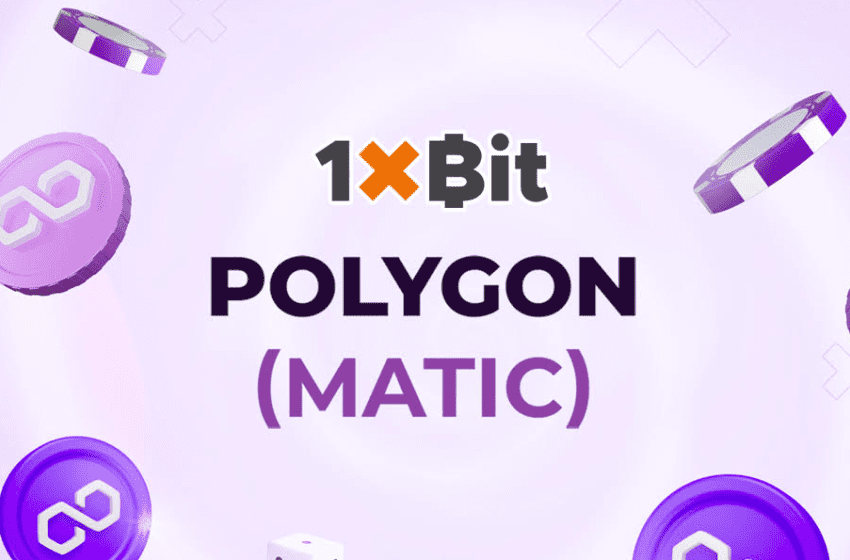  Take Crypto Gambling to a New Level With Polygon on 1xBit