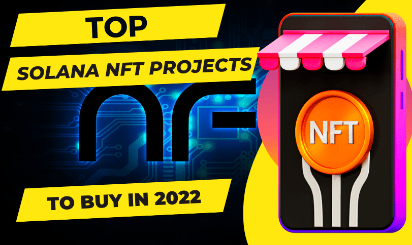  Top Solana NFT Projects to Buy in 2022 (and Where)