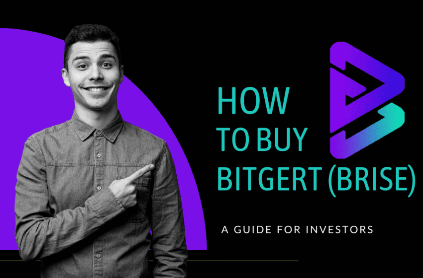  How to buy Bitgert (BRISE) coin?