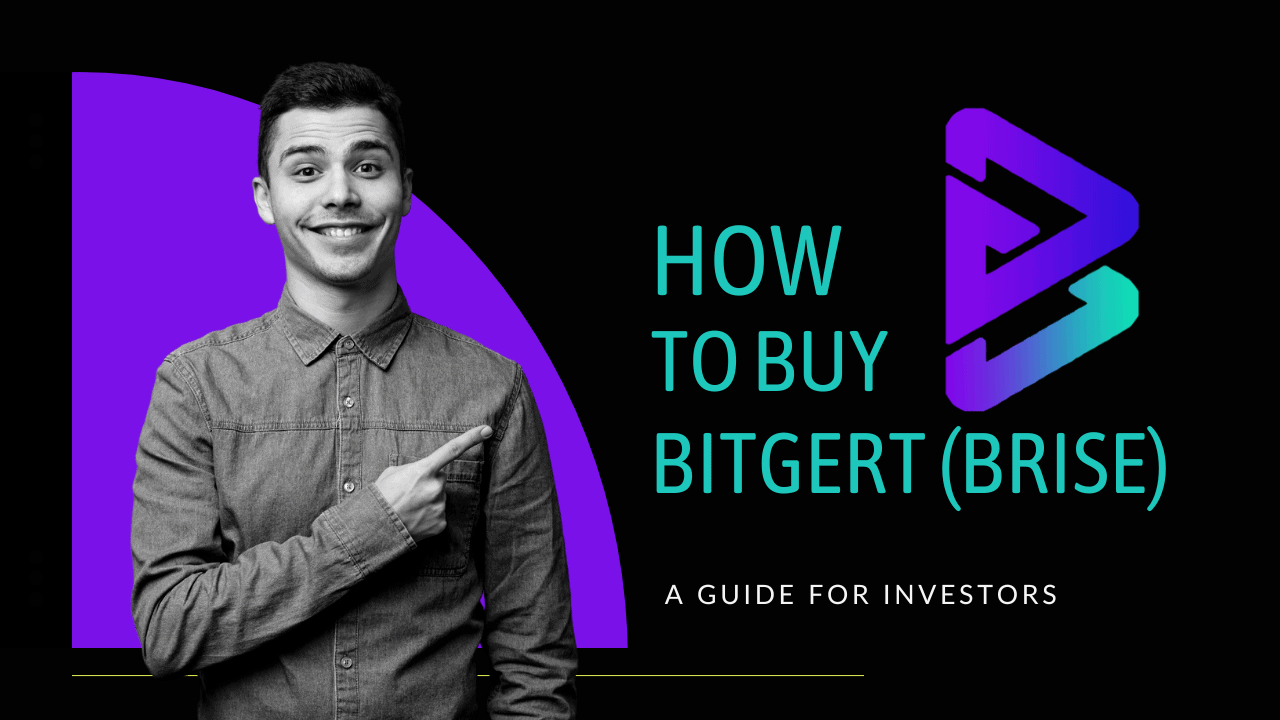 How to buy Bitgert (BRISE) coin
