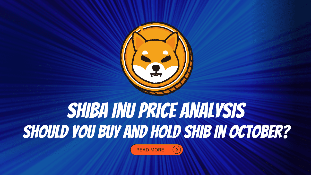 Shiba Inu Price Analysis October 2022