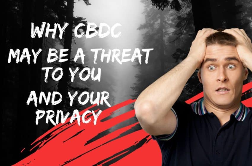  Why CBDCs may be a threat to you (and your privacy): The Evil Plan