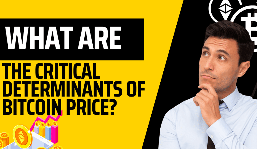  What are the Critical Determinants of Bitcoin Price?