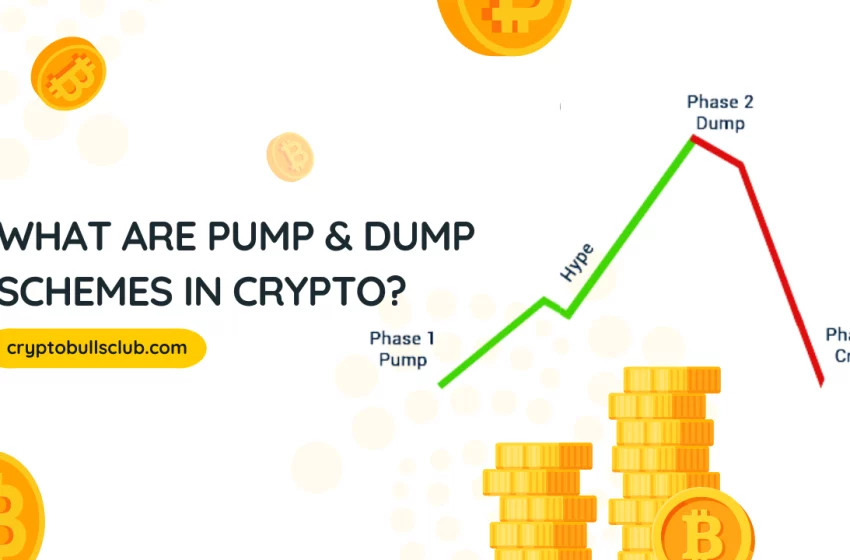  What are Pump and Dump Schemes in Crypto?