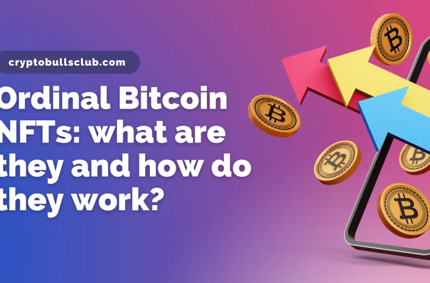  Ordinals Bitcoin NFTs: What are they and how do they work?