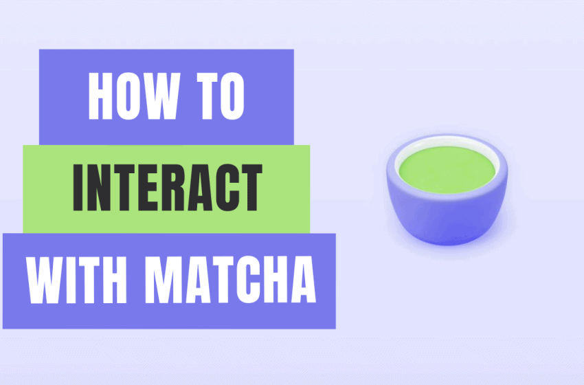  Matcha Airdrop Guide: How To Interact with Matcha to get Airdrop