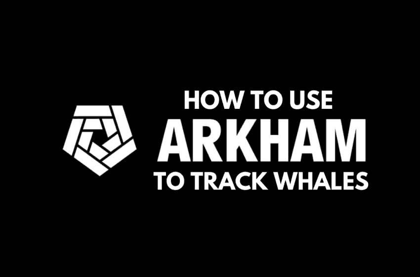  How to use Arkham Intelligence to Track Crypto Whales